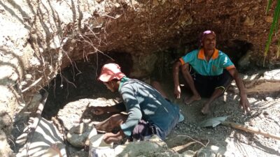 Ada Penyeludupan Ilegal Batu Mangan  Di Desa Bokong Kabupaten Kupang.